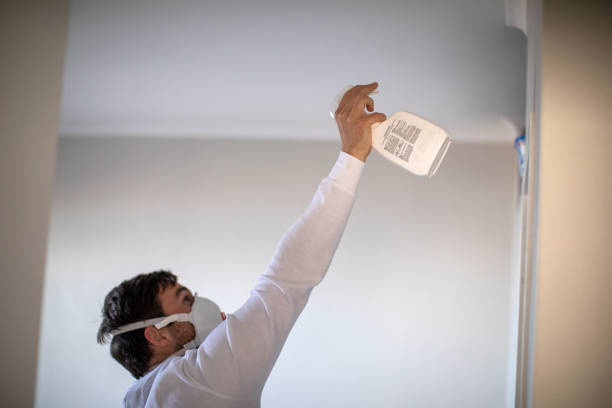 Best Black Mold Removal  in Shreveport, LA