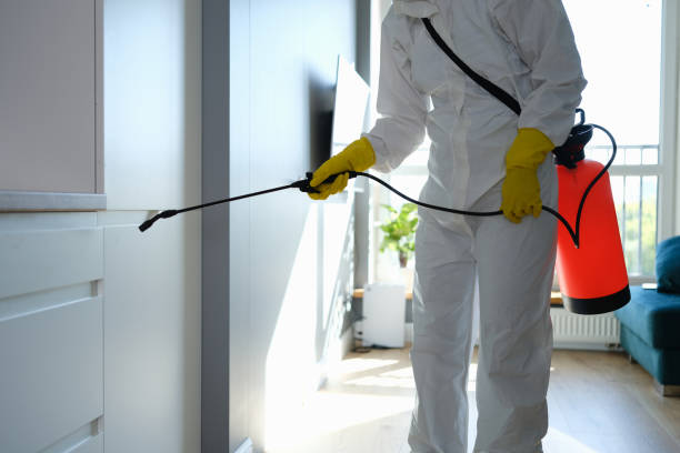 Crawl Space Mold Removal in Shreveport, LA