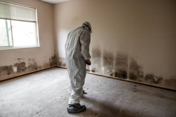 Best Crawl Space Mold Removal  in Shreveport, LA